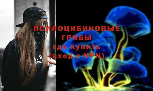винт Нея