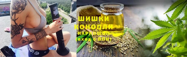 винт Нея