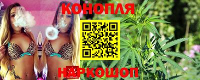 ешки Кингисепп