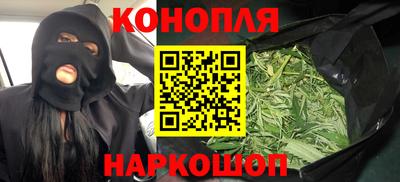 ешки Кингисепп