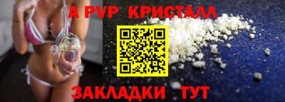 ешки Кингисепп