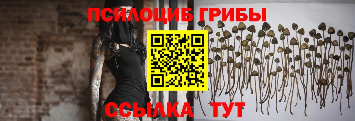 Махачкала  Псилоцибиновые грибы Magic Shrooms  Вход с VPN 