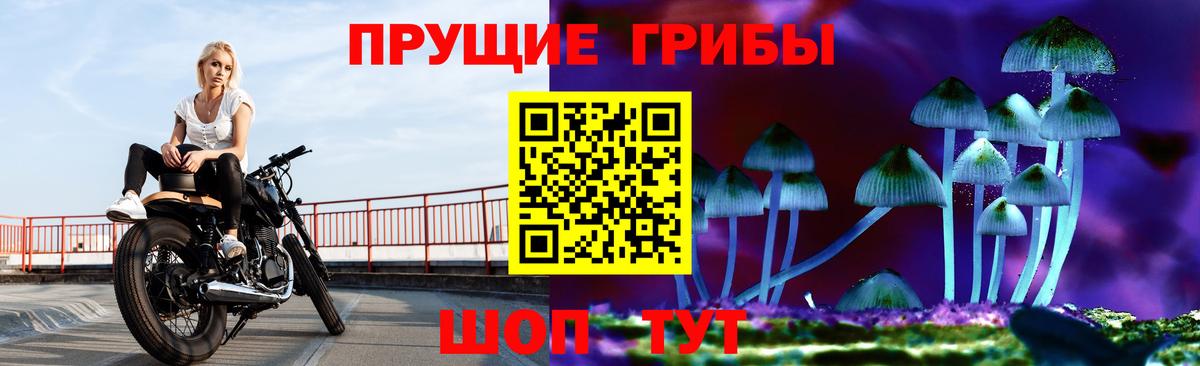 Галлюциногенные грибы прущие грибы Махачкала